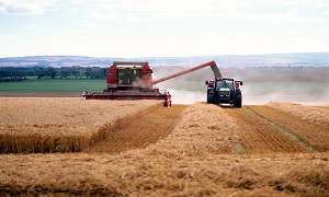 Landbrugsstøtte fylder mindre i resultaterne for de danske landbrug